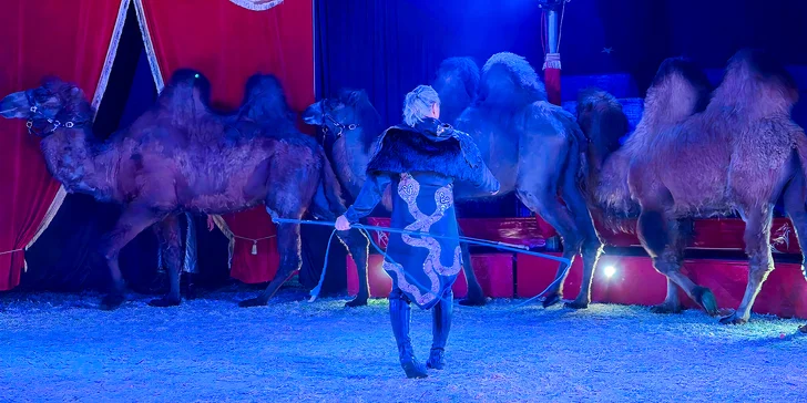 Vstupenka na predstavenie cirkusu Joo: rôzne termíny, deti do 2,99 rokov zdarma
