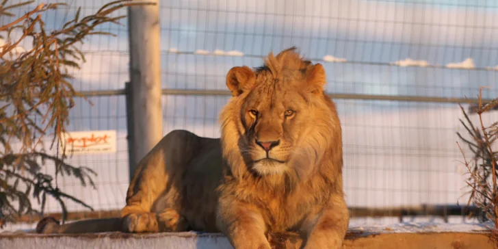 Navštívit můžete také nedalekou zoo.