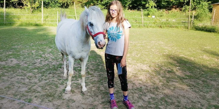 Svěřte malého jezdce do péče instruktorky a krásných (tak akorát velkých) poníků z rodinné farmy Černávovce. 