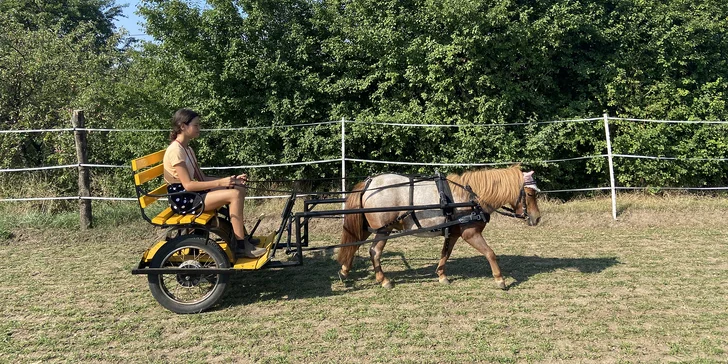 Poté se sami „nalodíte“ na vozík a vypravíte se na hodinovou vyjížďku po okolí!