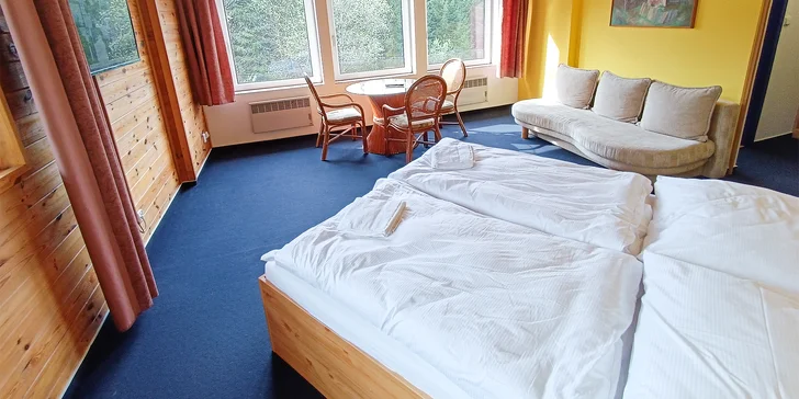 Bydlet budete v jednoduše, ale příjemně zařízeném pokoji nebo apartmánu. 