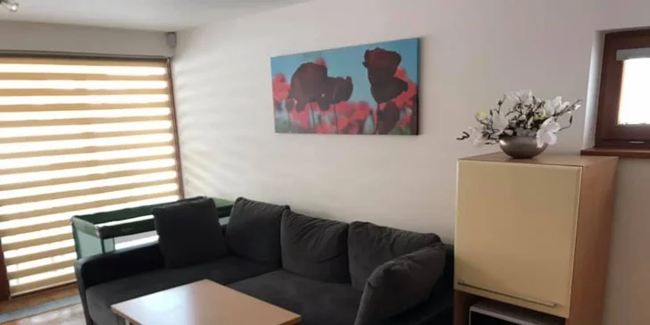 V apartmánech je připojení k Wi-Fi a TV.