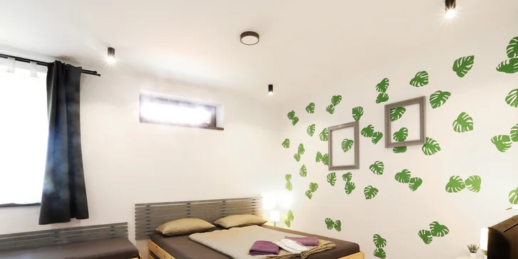 Ubytují vás v prostorném apartmánu.