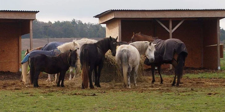 Děti zde budou nadšené.