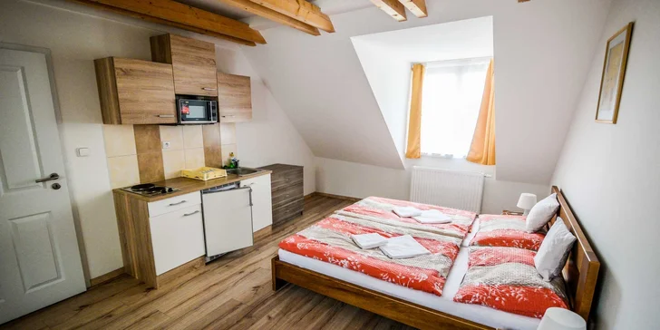 Majitelia pre vás starostlivo pripravia moderné ubytovanie s plne vybaveným kuchynským kútom.