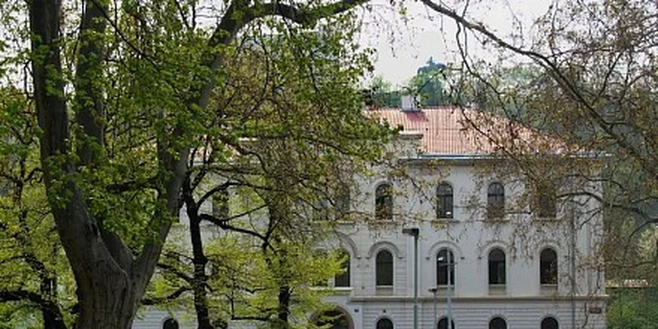 999 Kč za kurz angličtiny Komunikace a vyjednávání v obchodním styku