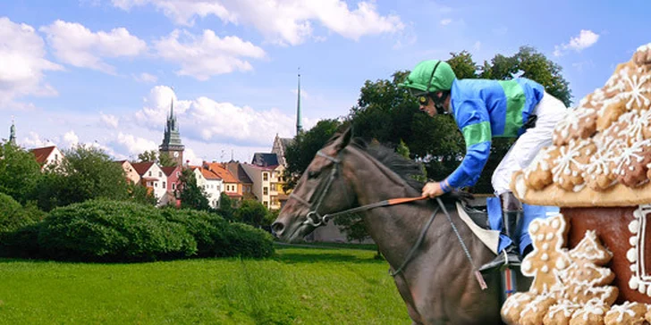 1895 Kč za 3 dny pro DVA v Pardubicích včetně polopenze. Bohatá tříchodová večeře s lahví vína i DVĚ pizzy. Poznejte krásu východních Čech.