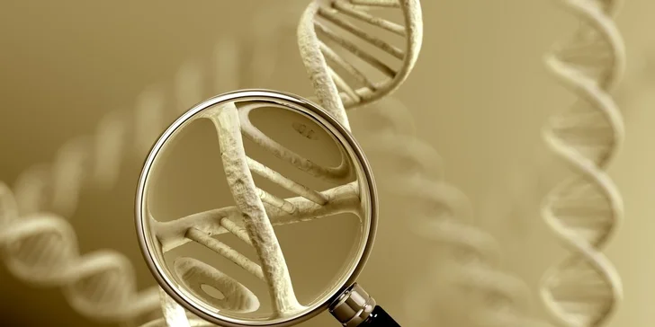 V lidské DNA jsou zakonzervované oblasti obsahující informace, které si neseme od generací a generací našich předků a které zůstávají po staletí a tisíciletí nezměněné. 