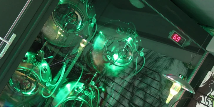 Fošna plná řízečků v Elektra Excelent Urban Pub