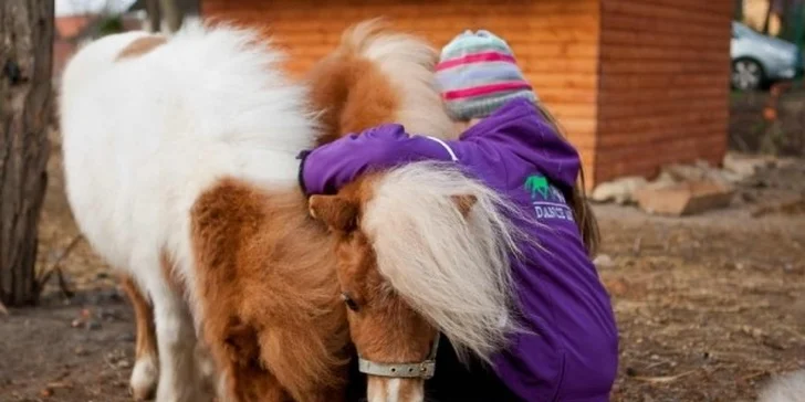 Projížďka na poníkovi a návštěva dalších zvířátek