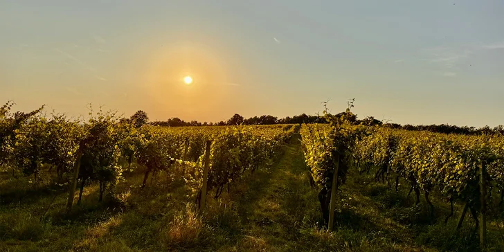 Připravená bude pikniková deka i chladivá voda.