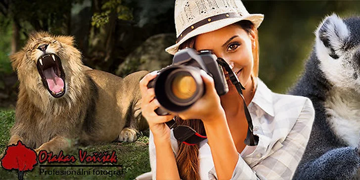 Fotografický workshop - Fotografujte zvířata (nejen v ZOO) jako profesionálové