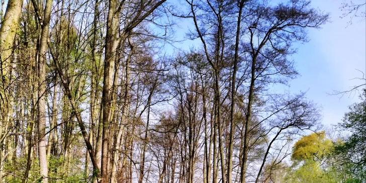 Vyzkoušíte si focení panoramat, portrétů i momentek a osvojíte si pravidla kompozice.
