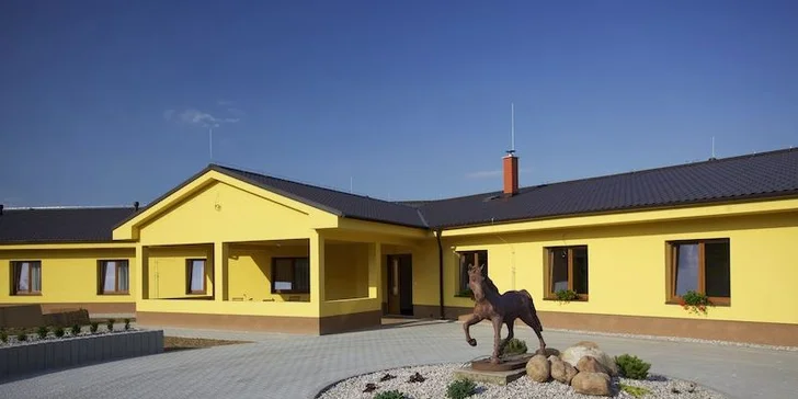 Dovolená v Brdech na ranči s koňmi a poníky