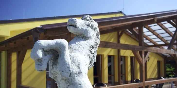 Dovolená v Brdech na ranči s koňmi a poníky