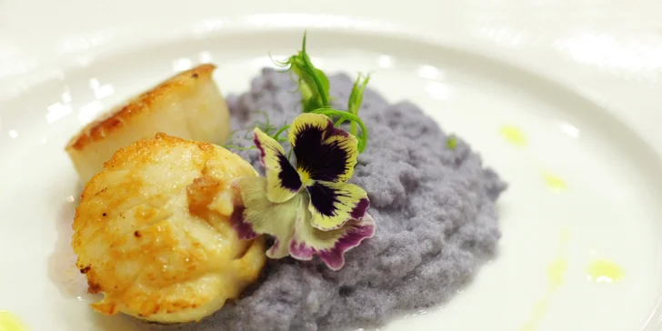 Hřebenatky (mušle sv. Jakuba) s pečeným květákovým purée zakápnuté olivovým olejem