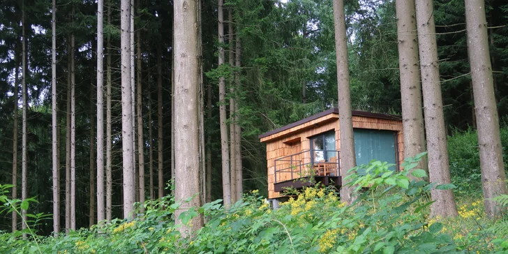 K domčeku patrí aj terasa s výhľadom na šumavské lesy.