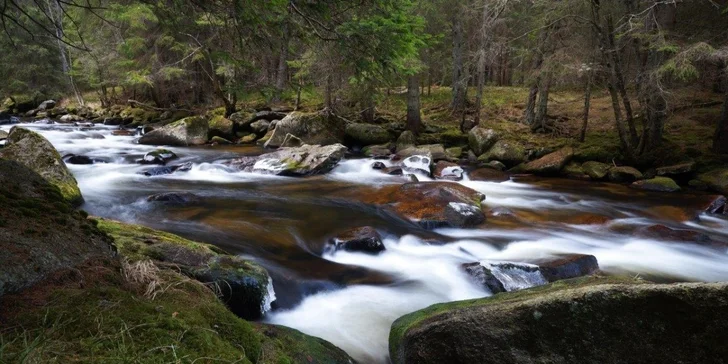 Chata U Krále Šumavy, Kvilda na Šumavě s polopenzí, pro 2 osoby na 6 dní s polopenzí