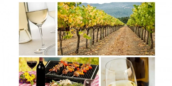 Vinařský kurz Wine Specialist Basic