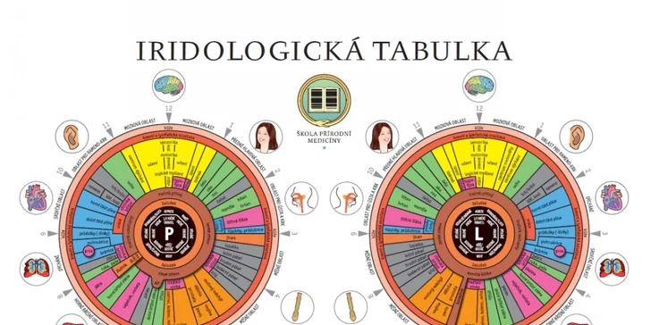 Diagnostika zdraví z oční duhovky, jazyka a pulzu