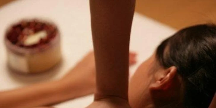 Zimní či letní wellness dovolená pro dva v Brdech