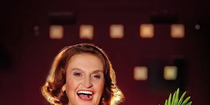 Libovolné představení či koncert divadla Studio DVA včetně Letní scény Vyšehrad 2014 o 30 % výhodněji
