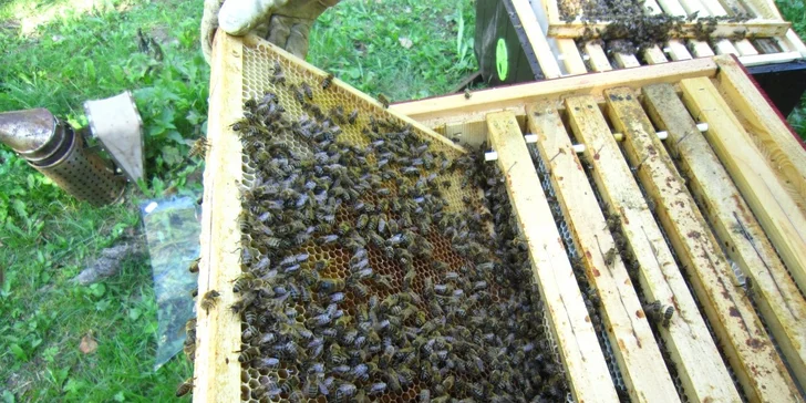 Zážitkové tématické dny na venkovské usedlosti