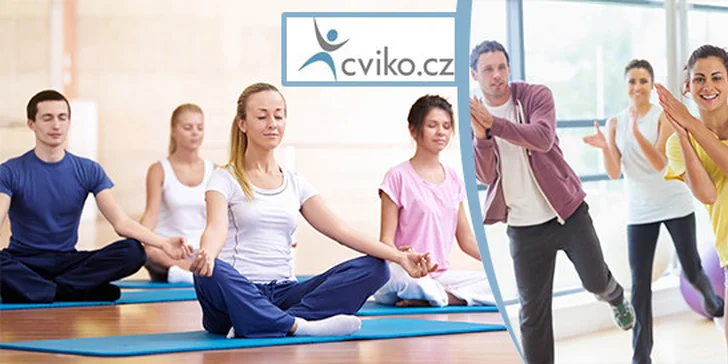Den v pohybu - celodenní cvičení pro kondici i zdraví