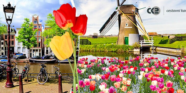 Víkendový výlet za tulipány a krásami Holandska