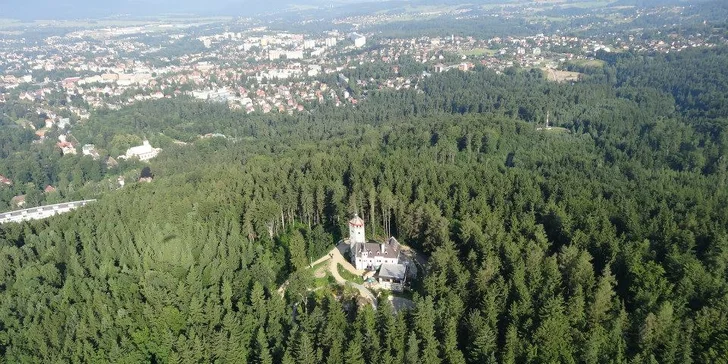 Čtyřchodové svatomartinské menu včetně vína: paštika, kaldoun, husa, štrúdl