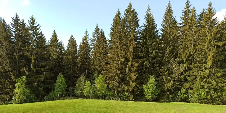 K dispozici je pro vás i ohniště a finská sauna. 