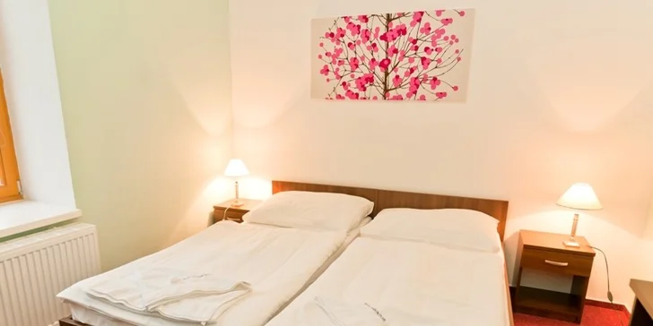 Odpočinkový pobyt s vínem a wellness v Lednici