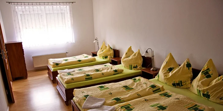 Rodinná letní dovolená na Šumavě v Apartmánech Braníčkov