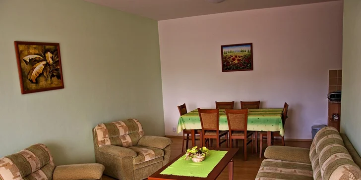 Rodinná letní dovolená na Šumavě v Apartmánech Braníčkov