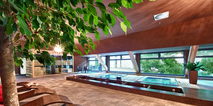 Hotelové Green Wellness v Holiday Inn Trnava