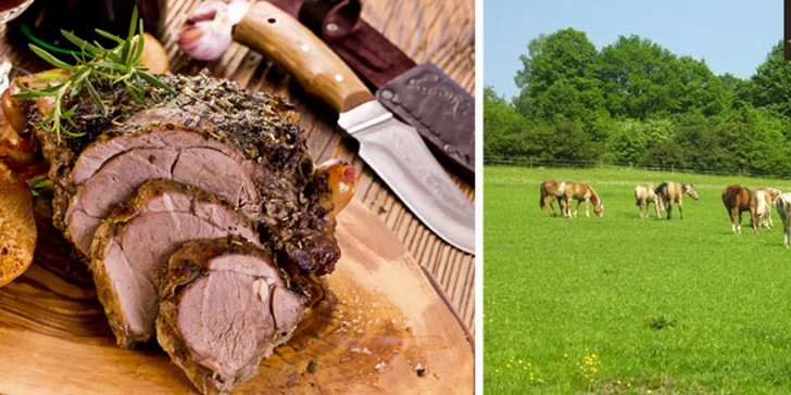 Velikonoce na farmě a ranči v Rajnochovicích