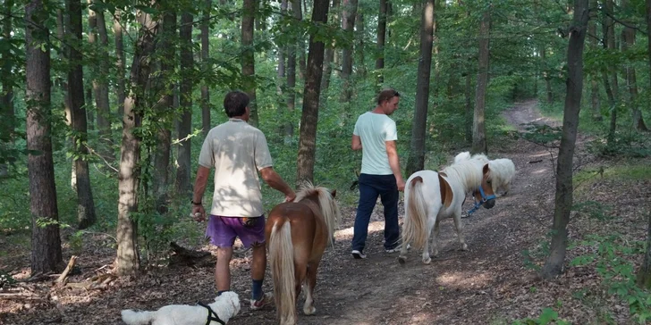 Odpoledne se pak projdete se shetlandskými poníky a psy samojedy krásnou okolní přírodou (přírodní park Bobrava) a pak už se můžete těšit na další činnosti u zvířátek – úpravy výběhů, zábava se zvířaty, někdy i veterinární úkony.
