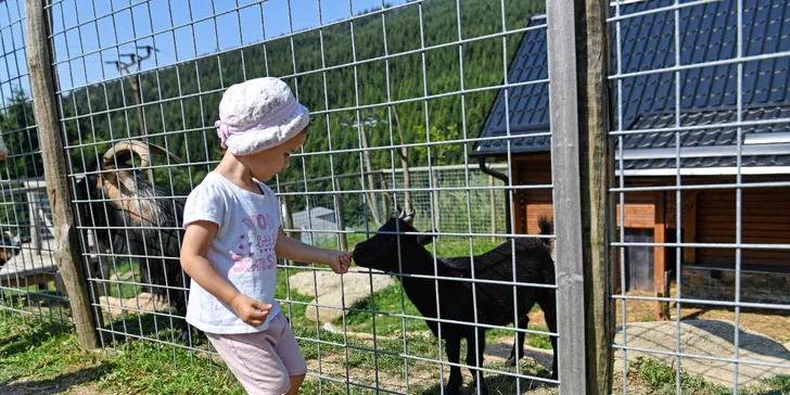 Navštivte i zookoutek se zakrslými kozami, které můžete hladit i krmit. 