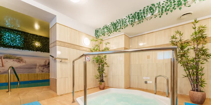 Či už túžite po relaxačnej masáži, kozmetickom ošetrení alebo regeneračnom zábale, profesionálne SPA centrum sa postará o to, aby bol váš oddych kompletný.