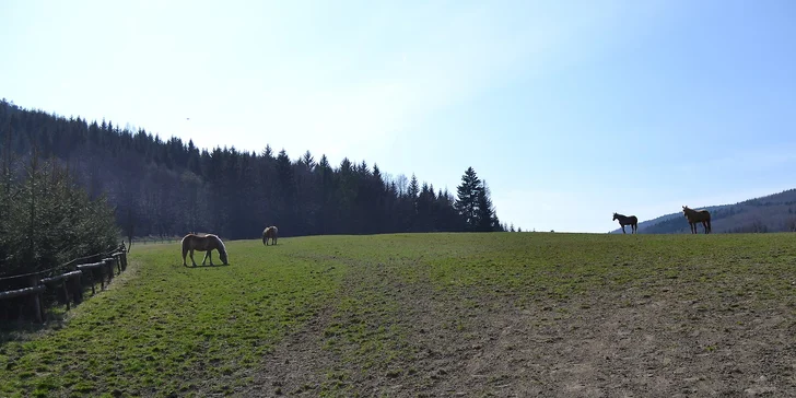 Velikonoce na farmě a ranči v Rajnochovicích