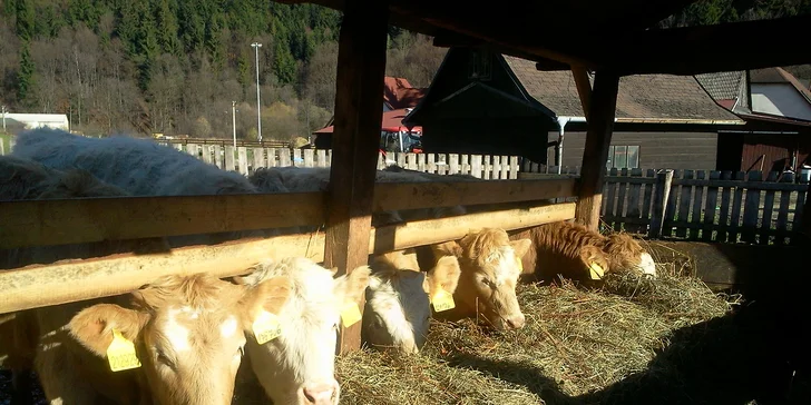 Velikonoce na farmě a ranči v Rajnochovicích