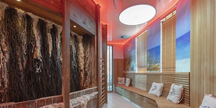 Hotel sa nachádza v modernom kúpeľnom komplexe a vy si budete všetky jeho vymoženosti užívať každý deň – vstup do wellness zóny máte totiž neobmedzený!
