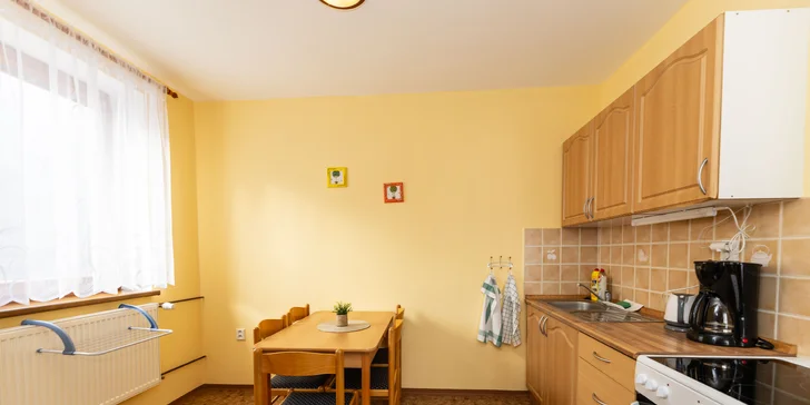 V apartmánu je plně vybavený kuchyňský kout.