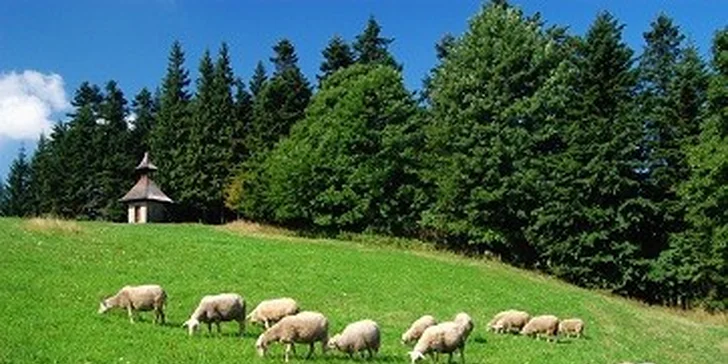 4denní pobyt v luxusní chatě až pro 8 lidí. Wellness místnost, masážní bazén a infrasauna jen pro vás. Dokonalé pohodlí v srdci Valašska!