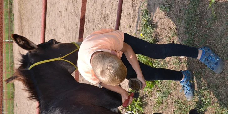 S oslíky se nejdřív seznámíte a naučíte se o ně pečovat.