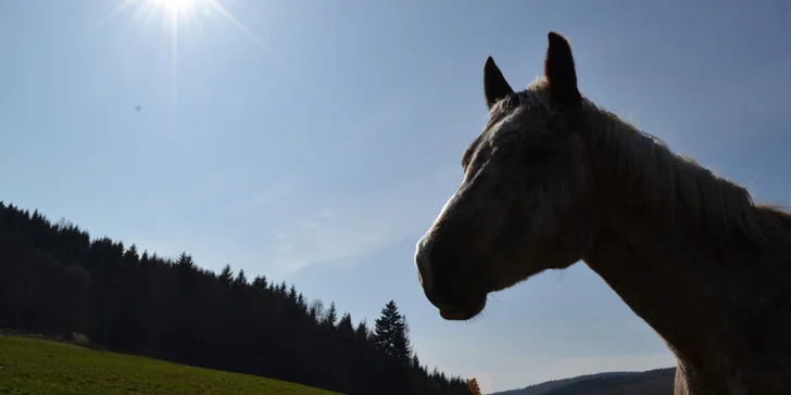 Turistika i jízda na koni v Hostýnských Vrších