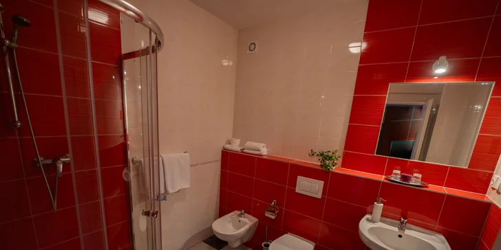 Samozrejmosťou je kúpeľňa so sprchou a WC.