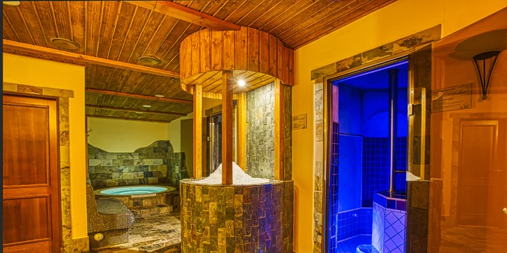 Ve wellness zóně je privátní jacuzzi, solná lázeň, bylinná aroma sauna, finská sauna, masážní sprchy, laconium a Kneippovy lázně.