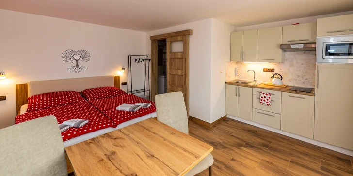 Bydlet budete v apartmánu přímo v obci Hrubá Skála.