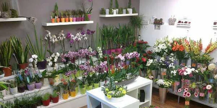 Valentýnská kytice 5 růží nebo 11 tulipánů
